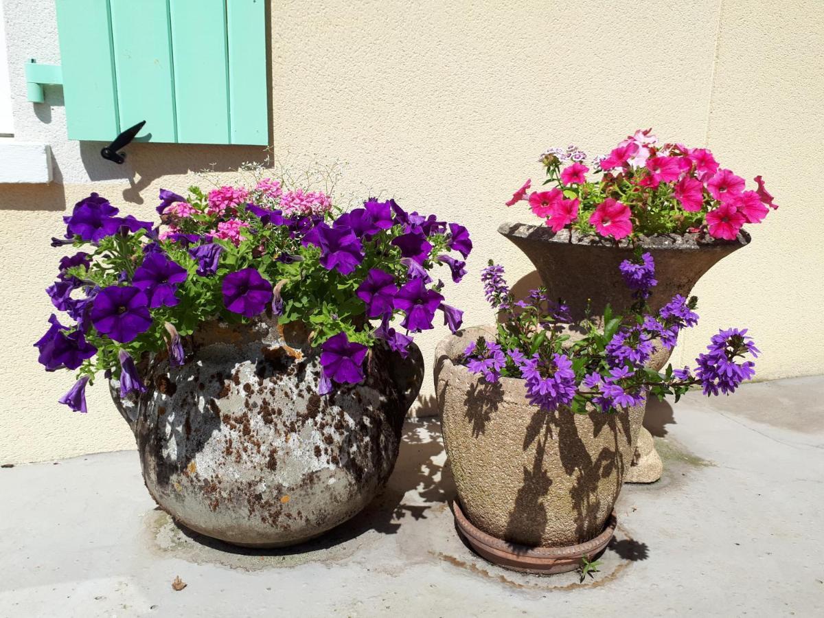 Bed & Breakfast Chez Pascale Et Patrick *